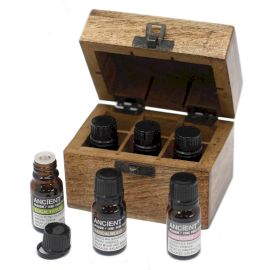 Top 6 ätherische Öle Aromatherapie-Box