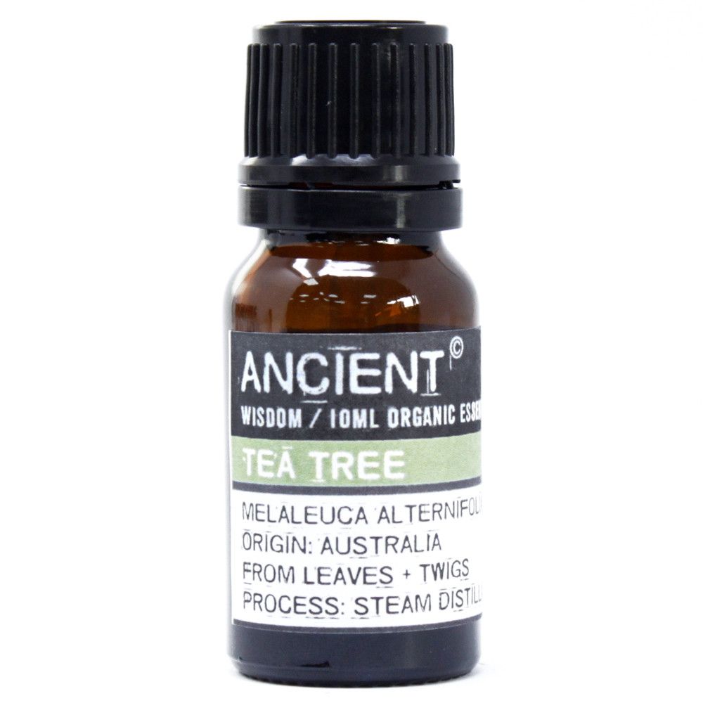 Tea Tree Ätherisches Öl Bio 10ml